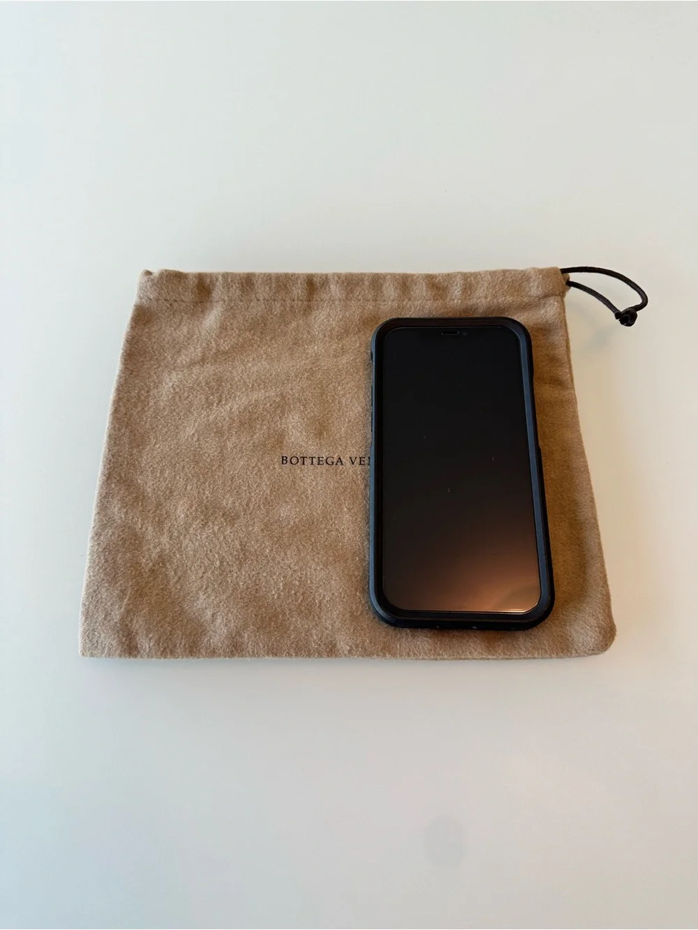 Bottega Veneta Suede Dust Bag in Tan